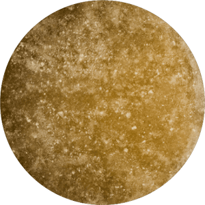 Beef Bone Broth Powder