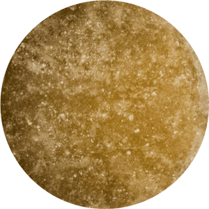 Beef Bone Broth Powder