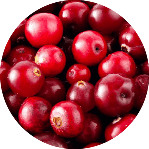Cranberry Powder