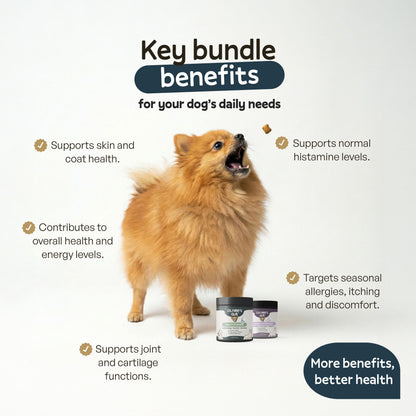 Immune & Zoomies Pack