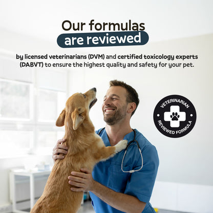 Immune & Zoomies Pack