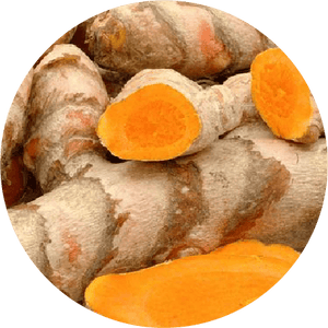 Turmeric Powder