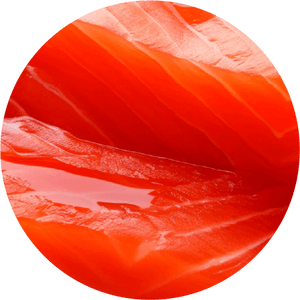 Wild Alaskan Salmon Oil