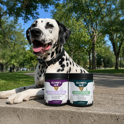 Immune & Zoomies Pack