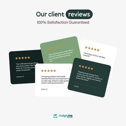 Multivitamin - Joint Care